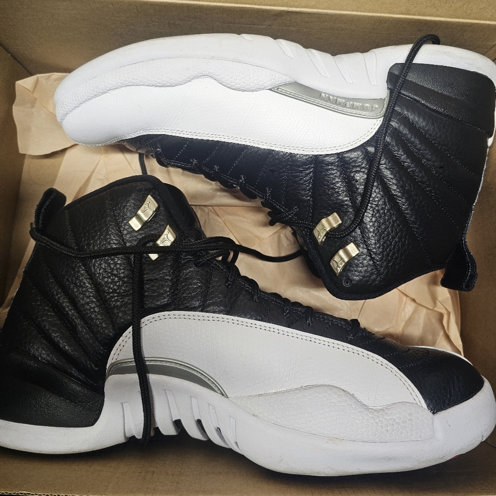 Air Jordan 12 retro
